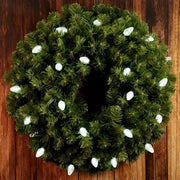 25 C7 Cool White LED Christmas Lights, 8" Spacing, Green Wire [CLOSEOUT]