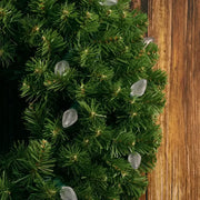 25 C7 Cool White LED Christmas Lights, 8" Spacing, Green Wire [CLOSEOUT]