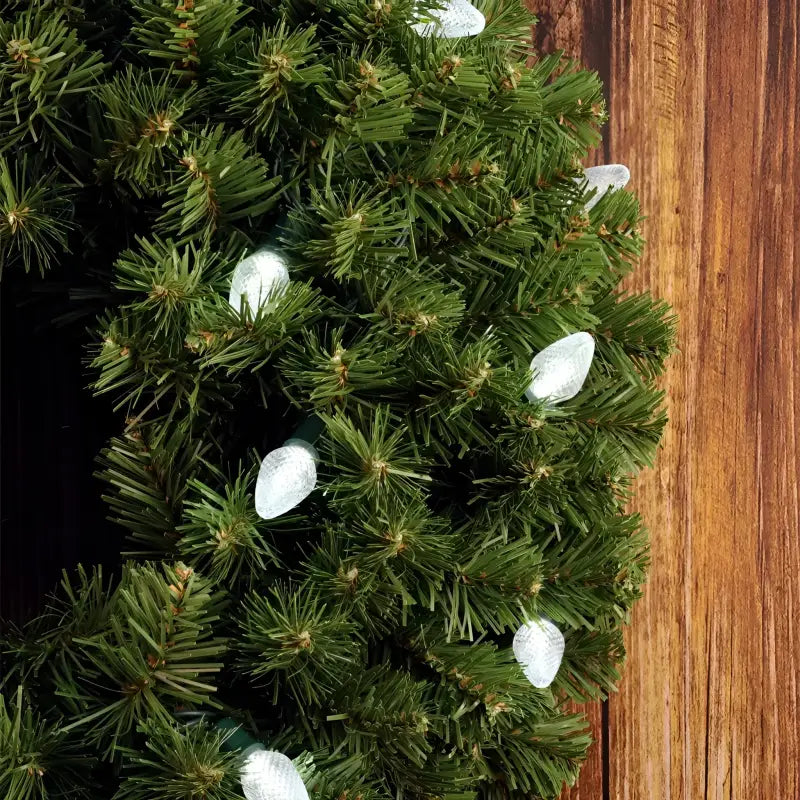 25 C7 Cool White LED Christmas Lights, 8" Spacing, Green Wire [CLOSEOUT]