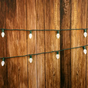 25 C7 Cool White LED Christmas Lights, 8" Spacing, Green Wire [CLOSEOUT]