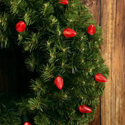 25 C7 Red LED Christmas Lights, 8" Spacing, Green Wire [CLOSEOUT]
