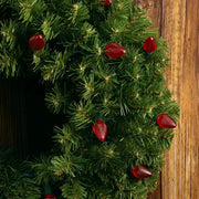 25 C7 Red LED Christmas Lights, 8" Spacing, Green Wire [CLOSEOUT]