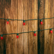 25 C7 Red LED Christmas Lights, 8" Spacing, Green Wire [CLOSEOUT]