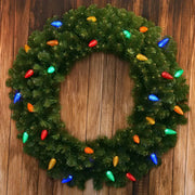 25 C9 Multicolor LED Christmas Lights, 8" Spacing, Green Wire [CLOSEOUT]