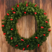 25 C9 Red LED Christmas Lights, 8" Spacing, Green Wire [CLOSEOUT]