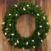 25 C9 Warm White LED Christmas Lights, 8" Spacing, Green Wire [CLOSEOUT]