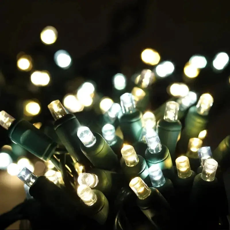 50 5mm ColorCraft® Champagne - Warm White, Pure White, and Cool White LED Christmas Lights, 6" Spacing, Green Wire