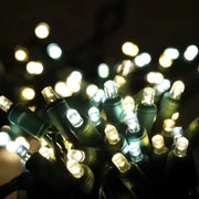 50 5mm ColorCraft® Champagne - Warm White, Pure White, and Cool White LED Christmas Lights, 6" Spacing, Green Wire