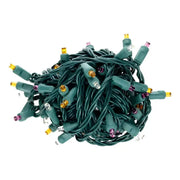 50 5mm ColorCraft® Halloween - Purple, Cool White, and Orange LED Christmas Lights, 6" Spacing, Green Wire