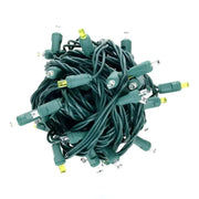 50 5mm ColorCraft® Silver & Gold - Cool White, Warm White, and Gold LED Christmas Lights, 6" Spacing, Green Wire
