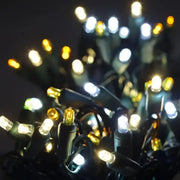 50 5mm ColorCraft® Silver & Gold - Cool White, Warm White, and Gold LED Christmas Lights, 6" Spacing, Green Wire