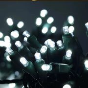 50 5mm Cool White LED Christmas Lights, 4" Spacing, Green Wire