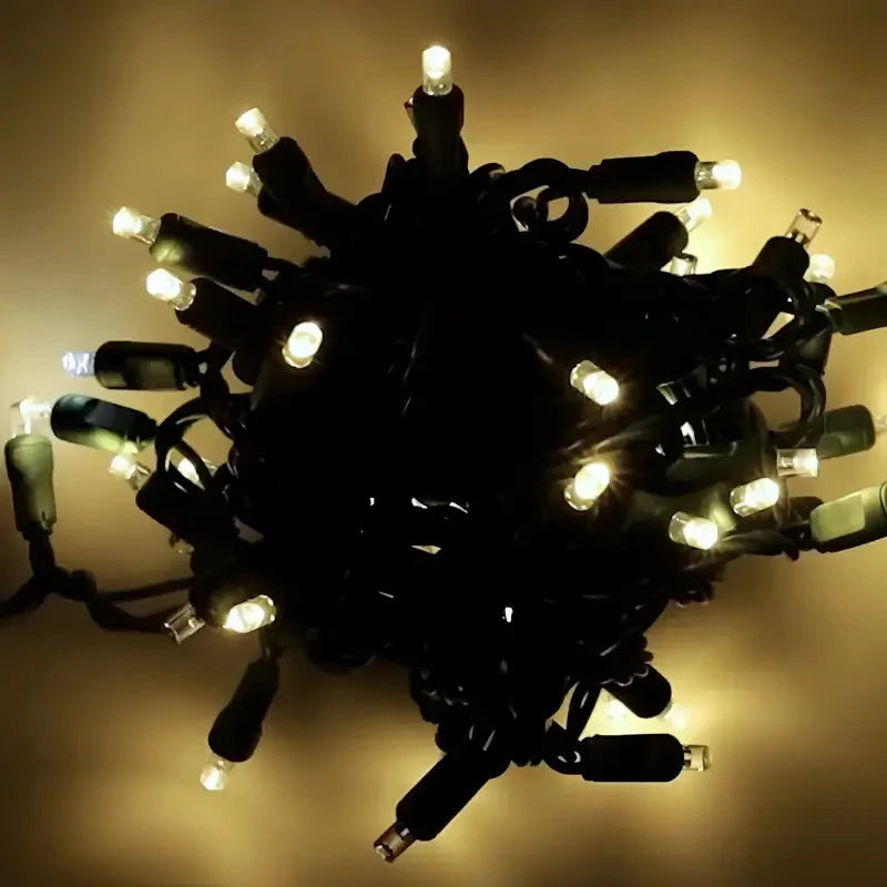 50 5mm Warm White and Cool White Dazzle LED Strobe Christmas Lights, 6" Spacing, Green Wire
