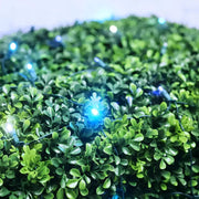 5mm 4' x 6' Arctic - Blue, Cool White, Teal DreamSpark® Smooth Fade LED Net Lights, Green Wire