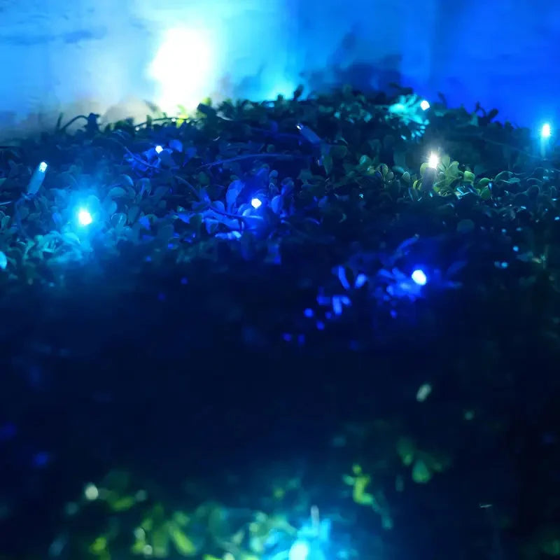 5mm 4' x 6' Arctic - Blue, Cool White, Teal DreamSpark® Smooth Fade LED Net Lights, Green Wire