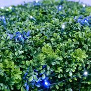 5mm 4' x 6' Blue, Cool White DreamSpark® Smooth Fade LED Net Lights, Green Wire