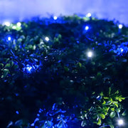 5mm 4' x 6' Blue, Cool White DreamSpark® Smooth Fade LED Net Lights, Green Wire