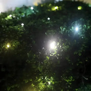 5mm 4' x 6' Champagne - Warm White, Pure White, Cool White DreamSpark® Smooth Fade LED Net Lights, Green Wire