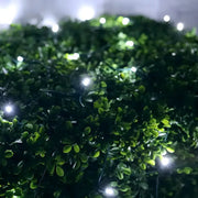 5mm 4' x 6' Cool White LED Net Lights, Green Wire