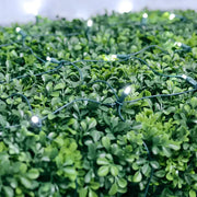 5mm 4' x 6' Cool White LED Net Lights, Green Wire