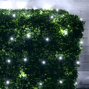 5mm 4' x 6' Cool White LED Net Lights, Green Wire