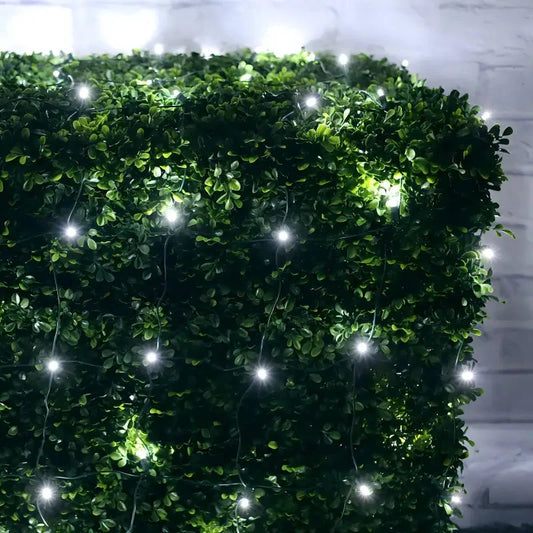 5mm 4' x 6' Cool White LED Net Lights, Green Wire