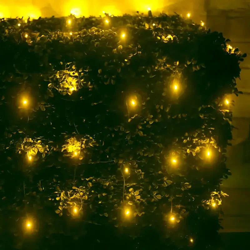 5mm 4' x 6' Gold LED Net Lights, Green Wire