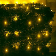 5mm 4' x 6' Gold LED Net Lights, Green Wire