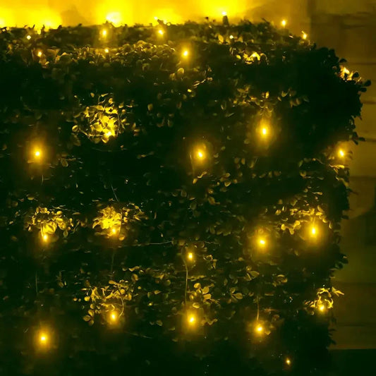 5mm 4' x 6' Gold LED Net Lights, Green Wire