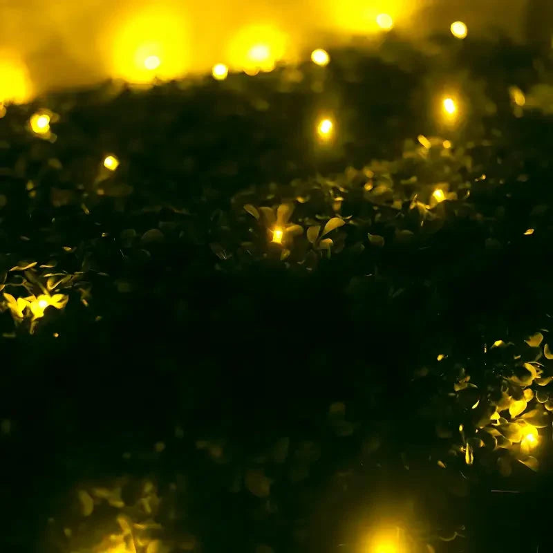 5mm 4' x 6' Gold LED Net Lights, Green Wire