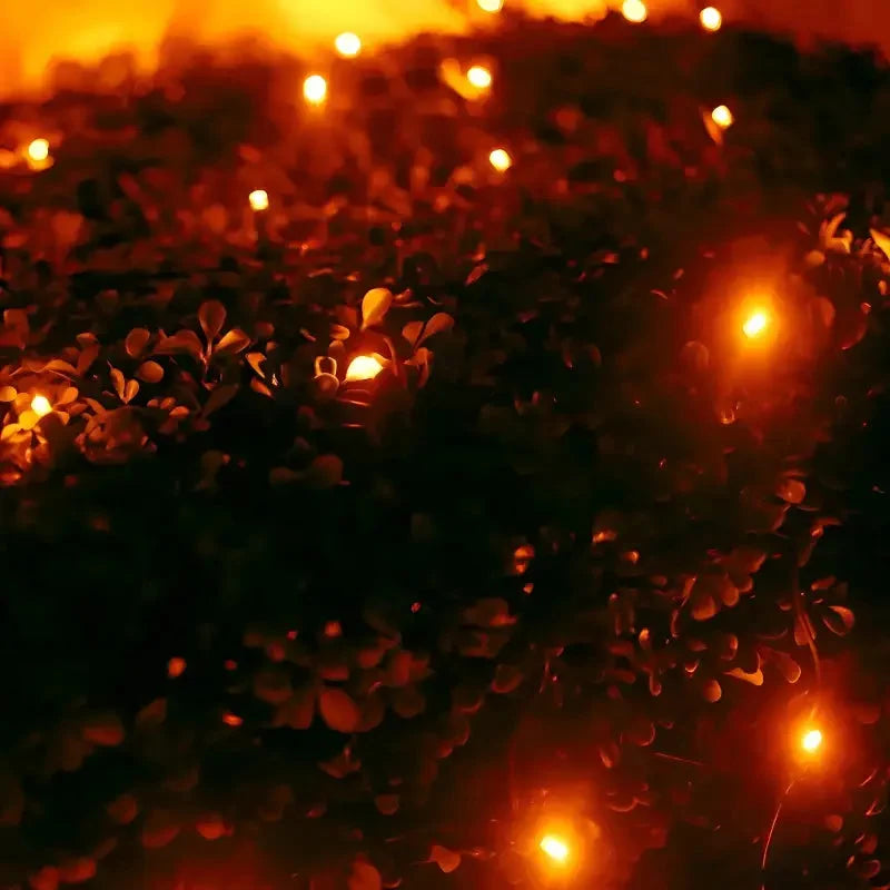 5mm 4' x 6' Orange DreamSpark® Smooth Fade LED Net Lights, Green Wire