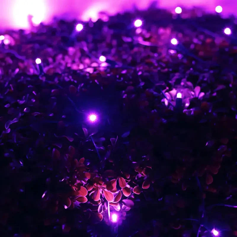 5mm 4' x 6' Purple LED Net Lights, Green Wire