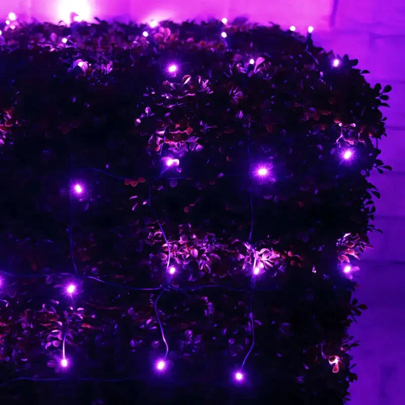 5mm 4' x 6' Purple LED Net Lights, Green Wire