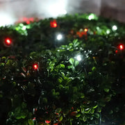 5mm 4' x 6' Red, Cool White DreamSpark® Smooth Fade LED Net Lights, Green Wire