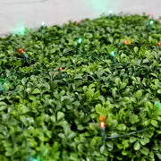 5mm 4' x 6' Red, Green DreamSpark® Smooth Fade LED Net Lights, Green Wire