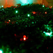 5mm 4' x 6' Red, Green DreamSpark® Smooth Fade LED Net Lights, Green Wire