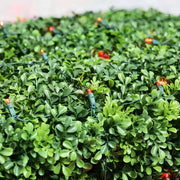 5mm 4' x 6' Red LED Net Lights, Green Wire