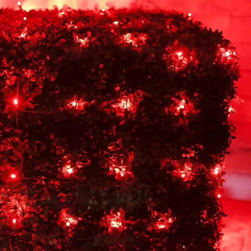5mm 4' x 6' Red LED Net Lights, Green Wire