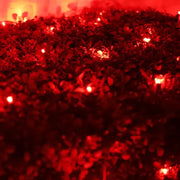 5mm 4' x 6' Red LED Net Lights, Green Wire