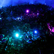 5mm 4' x 6' Stardust - Blue, Purple, Teal DreamSpark® Smooth Fade LED Net Lights, Green Wire