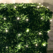 5mm 4' x 6' Warm White LED Net Lights, Green Wire