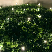 5mm 4' x 6' Warm White LED Net Lights, Green Wire