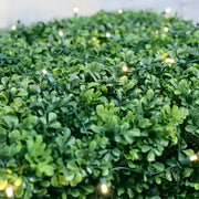 5mm 4' x 6' Warm White Twinkle LED Net Lights, Green Wire