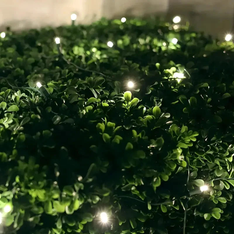 5mm 4' x 6' Warm White Twinkle LED Net Lights, Green Wire