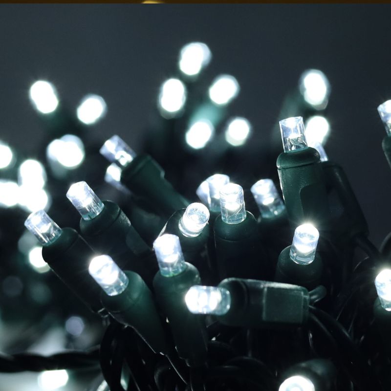100 5mm Cool White LED Christmas Lights, 4" Spacing, Green Wire