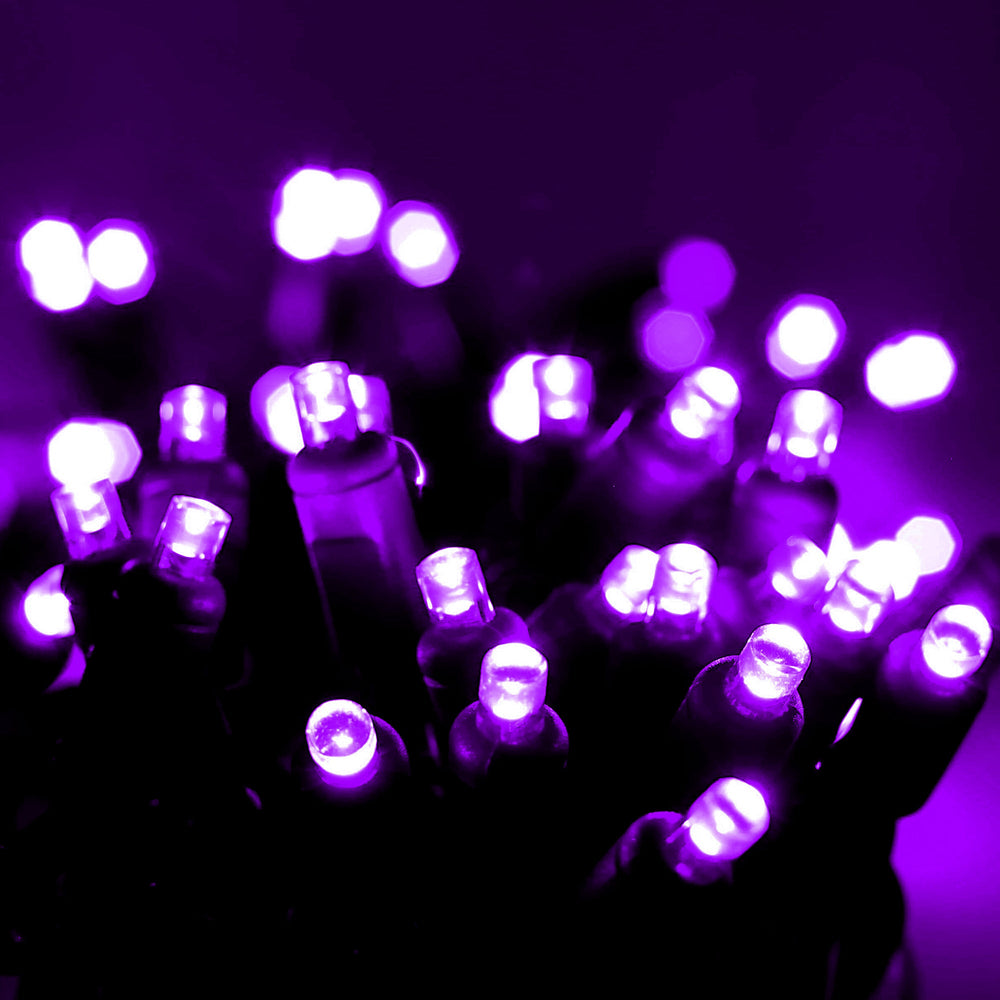 50 5mm Purple LED Christmas Lights, 4" Spacing, Green Wire