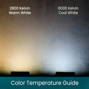 70 5mm ColorCraft® Champagne - Warm White, Pure White, and Cool White DreamSpark® Slow Fade LED Christmas Lights, 4" Spacing, Green Wire