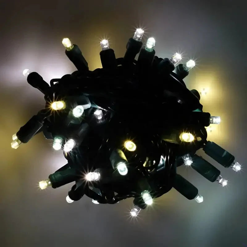 70 5mm ColorCraft® Champagne - Warm White, Pure White, and Cool White DreamSpark® Slow Fade LED Christmas Lights, 4" Spacing, Green Wire