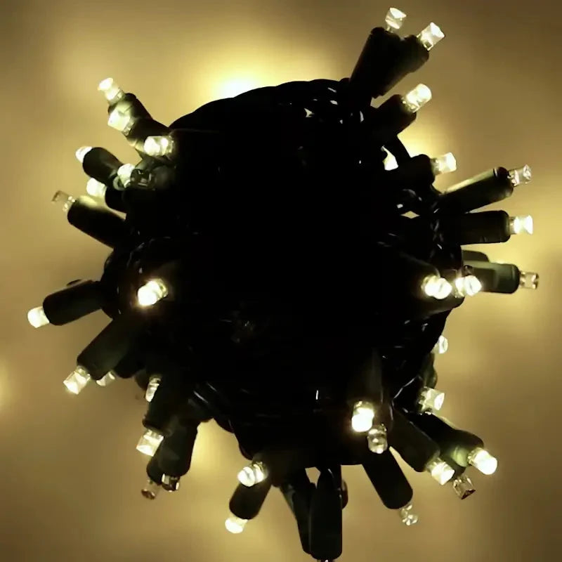 70 5mm Warm White DreamSpark® Slow Fade LED Christmas Lights, 4" Spacing, Green Wire