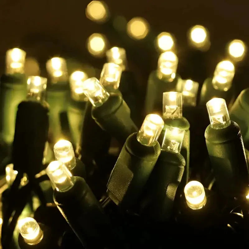 70 5mm Warm White LED Christmas Lights, 4" Spacing, Green Wire